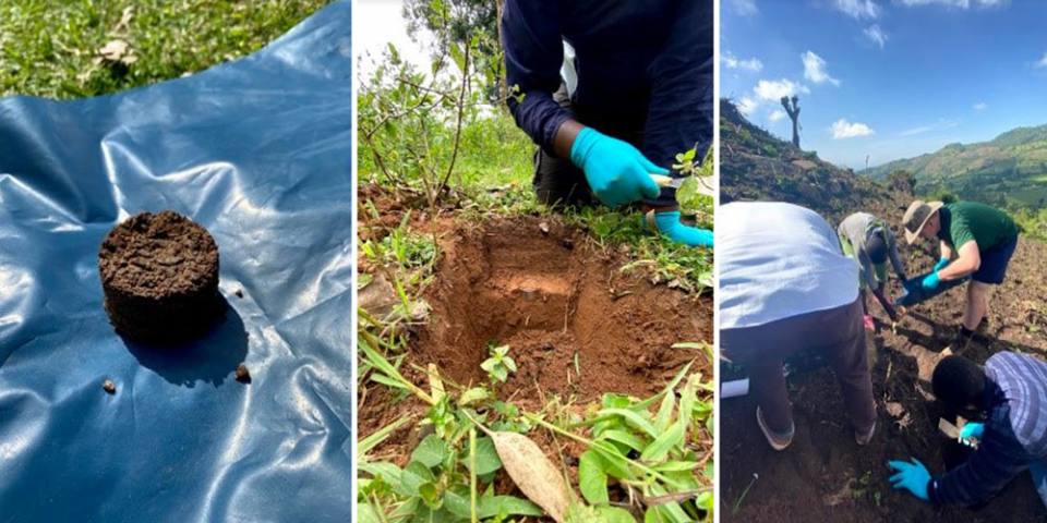 Soil core sampling