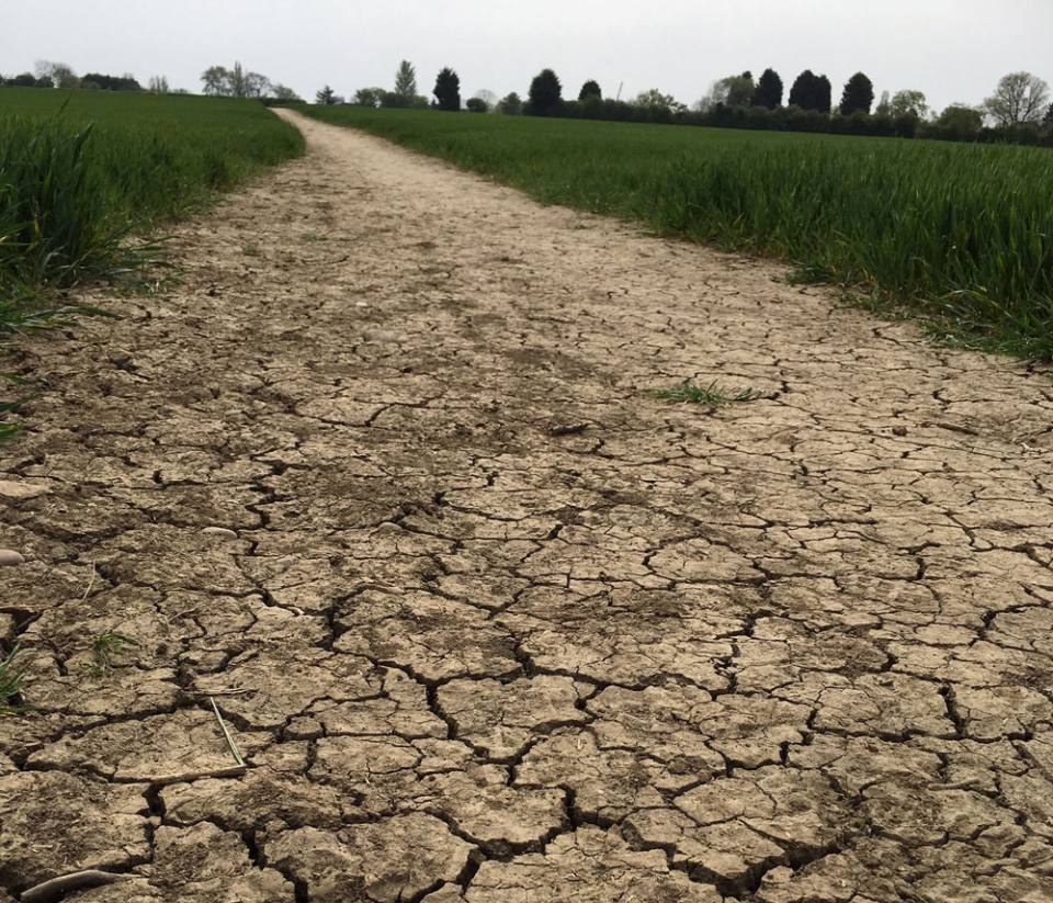 Cracking of clay-rich soil