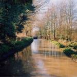 Flooding river