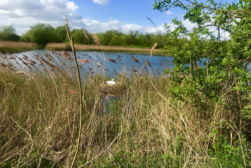 Holme Pit
