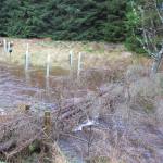 Natural flood management