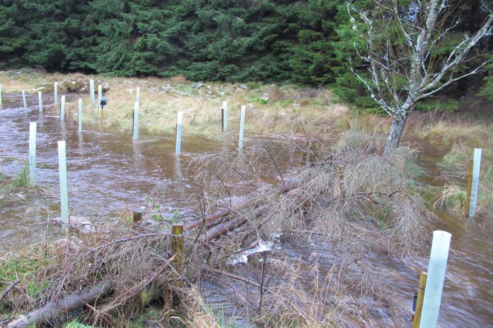 Natural flood management