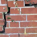 Crack in a wall due to subsidence