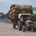 A tractor loaded with bales of crops being driven along a road