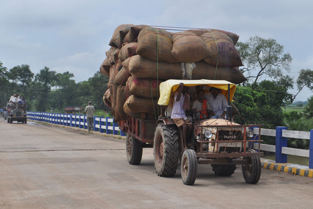 A tractor loaded with bales of crops being driven along a road