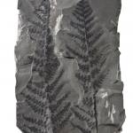 Grey rock with the black outline or imprint of a fossilised fern