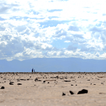 A view of the Chew Bahir lake in southern Ethiopia showing a current dry period. Photo by Julian Ruddock.