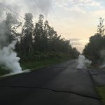 A road leads through some trees. White gas is pouring out of cracks in the road.