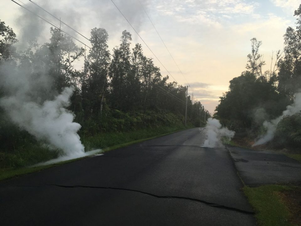 A road leads through some trees. White gas is pouring out of cracks in the road.