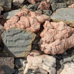 Pink rocks on a pebbly beach and grey rocks showing solidified ripple marks