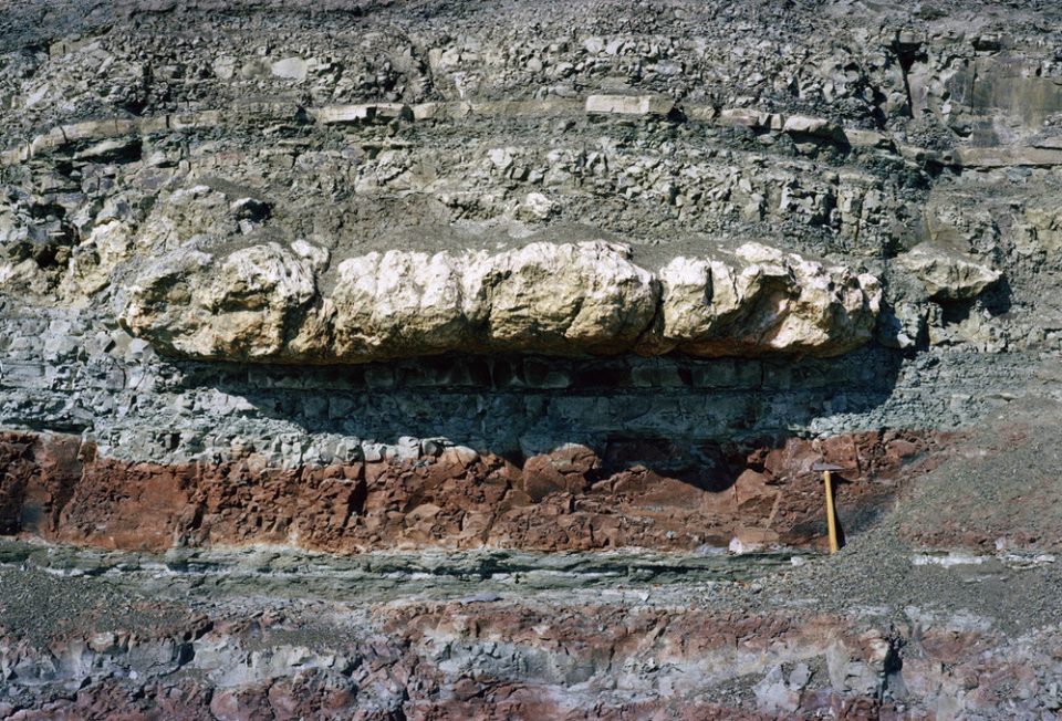 A white slab of gypsum within the grey and red rocks at Penarth Head