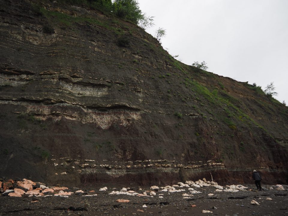 Dark coloured cliffs with bands of much paler rock running through them horizontally