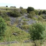 Ricklow Quarry, a site of Special Scientific Interest