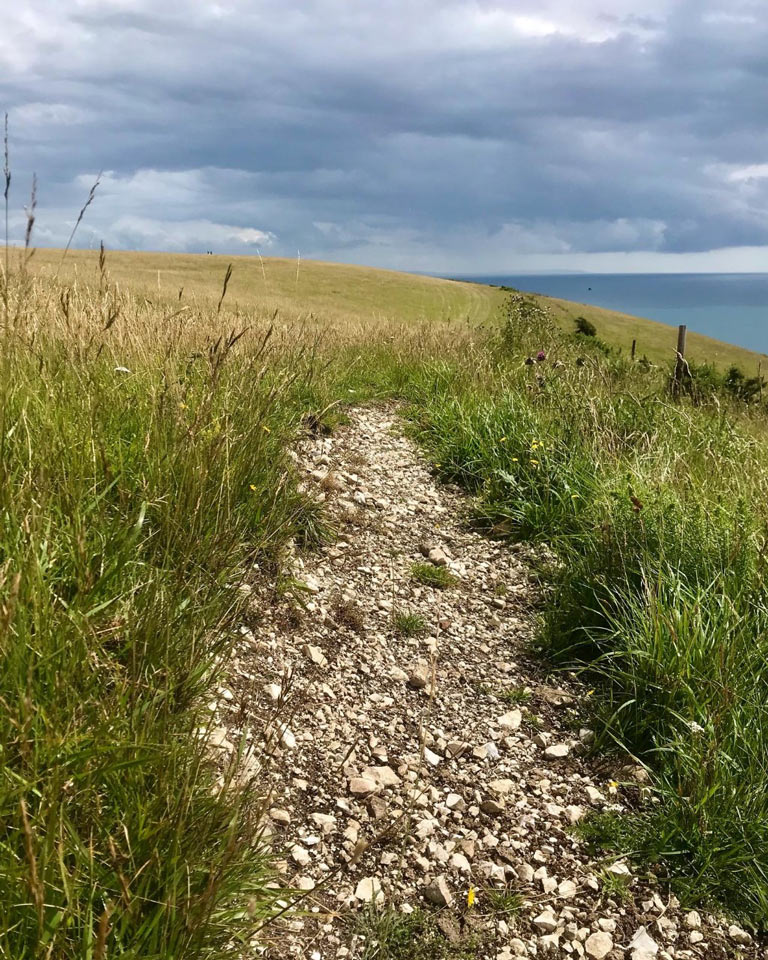 Chalk soil at Ballard Down