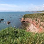 Whiting Ness - Seaton Cliffs