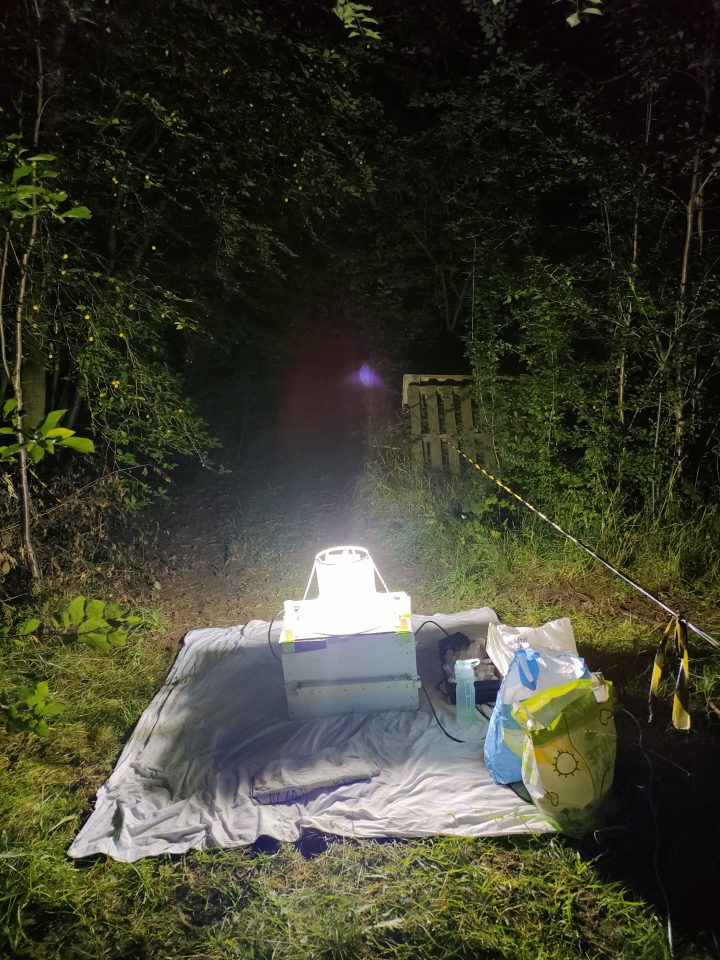 Moth trapping at the BGS Keyworth site