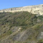 A landslide in grey cly covered with low bushes. A white chlk cliff in the background.