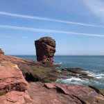 Seaton Cliffs Nature Trail