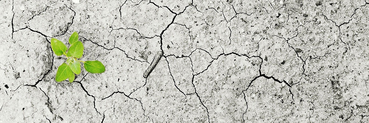 Climate change. Drought. Image by andreas160578 from Pixabay