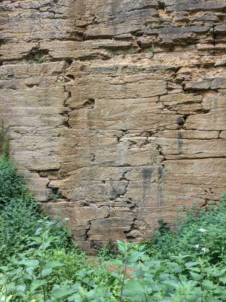 A quarry face of pale golden sandstone with green vegetation at the base