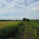 A drainage ditch running through flat green fields of the Somerset Levels