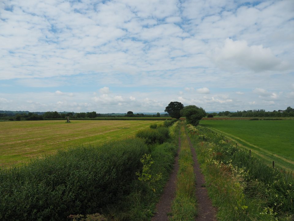 A drainage ditch running through flat green fields of the Somerset Levels