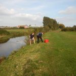 Sampling in the River Tone