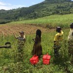 The field teams collecting soils in west Kenya.