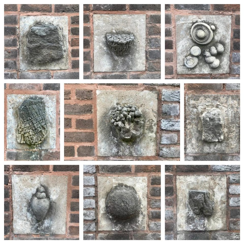 Curious fossils set into a wall at University of Nottingham
