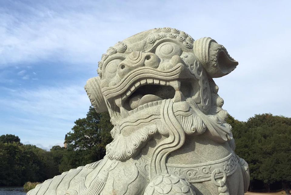 The Ningbo lions Highfields Park
