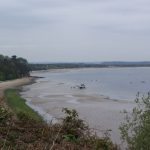 Studland bay by Pam Goodey