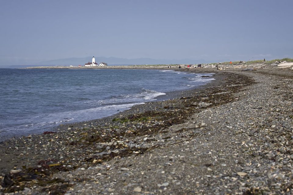Dungeness Spit by Steven Pavlov