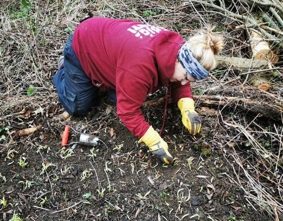 Bulb planting at Keyworth