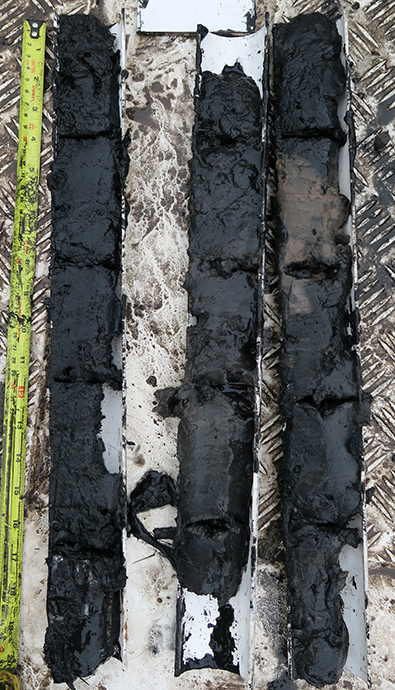 Hanoi canal cores: These sediment cores from an urban canal in Hanoi were processed and subsampled by the BGS for subsequent FTICR MS analysis