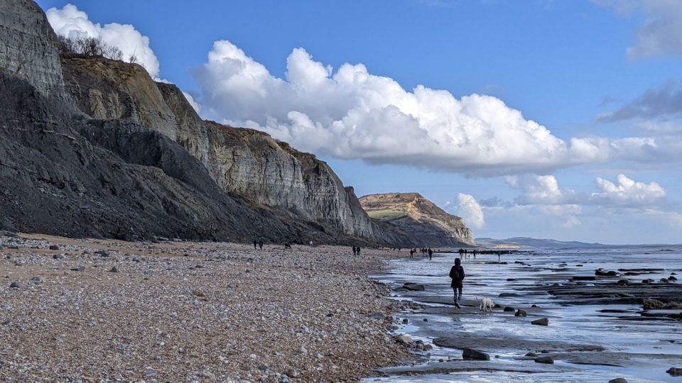 A shingle beach with people and dogs walking on it, with high cliffs in the background