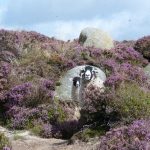 A sheep with big curly horns stands in front of her lamb. They are surrounded by grey boulders and lots of purple heather.
