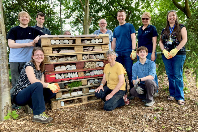 Nine BGS staff members standing and crouching around the new bug palace, which is made out of wooden pallets and logs, sticks, grass, stones and bricks in a pile.