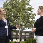 Two white women are looking at a small cherry tree sapling held up by the woman on the left