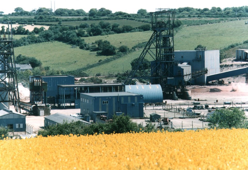 In the foreground is a field of yellow flowers, contrsating with the industrial landscape of an abandoned mine in the backgroun