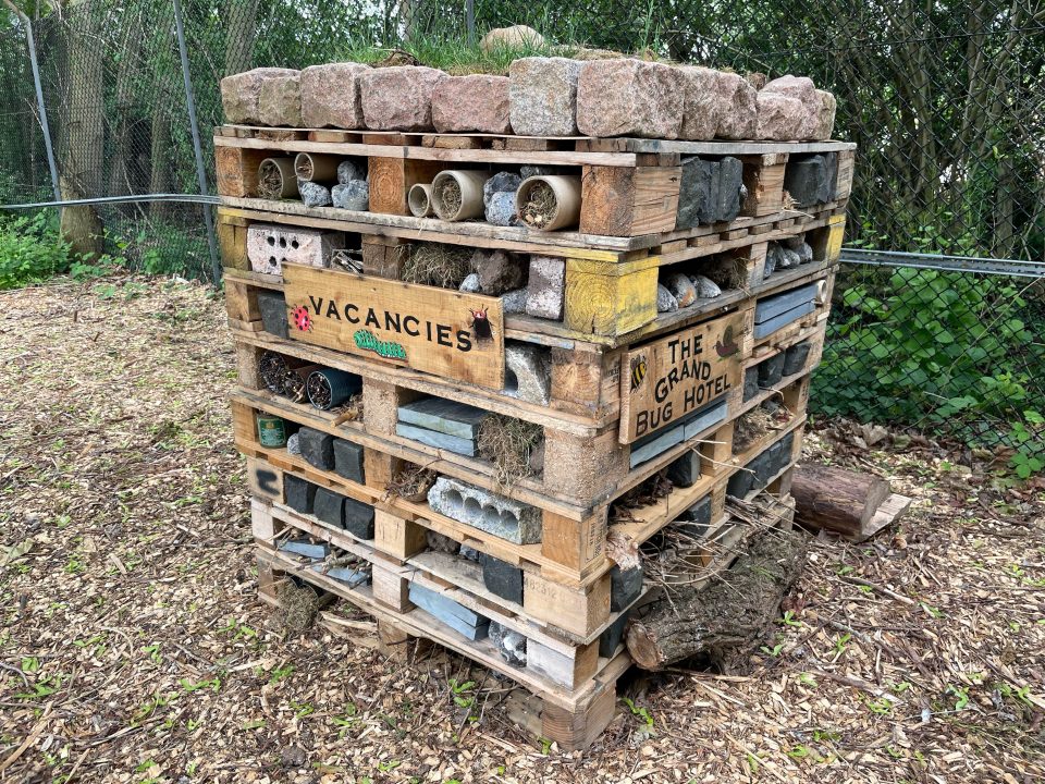 A stack of wood stuffed with sticks, rocks, bricks, dried grass and generally bug-friendly hiding places