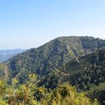 Darjeeling Hills, India