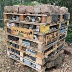 Bug hotel at BGS Keyworth