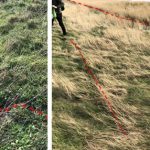 Cracks can be difficult to see from the cliff top. This example is from Dorset. © BGS