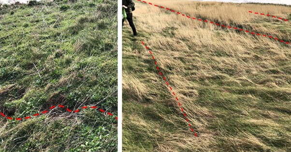 Cracks can be difficult to see from the cliff top. This example is from Dorset. © BGS