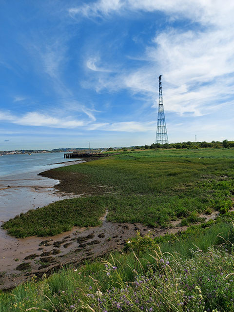 The saltmarsh at Swanscombe sampled during the fieldtrip. Photo by Megan Trusler. BGS © UKRI.