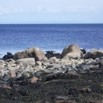 Boulders on a beach with seals perched on them