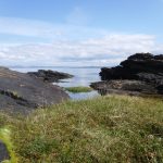 Beds of dark sandstone rock dipping to the right, with grass in the foreground and the sea in the background