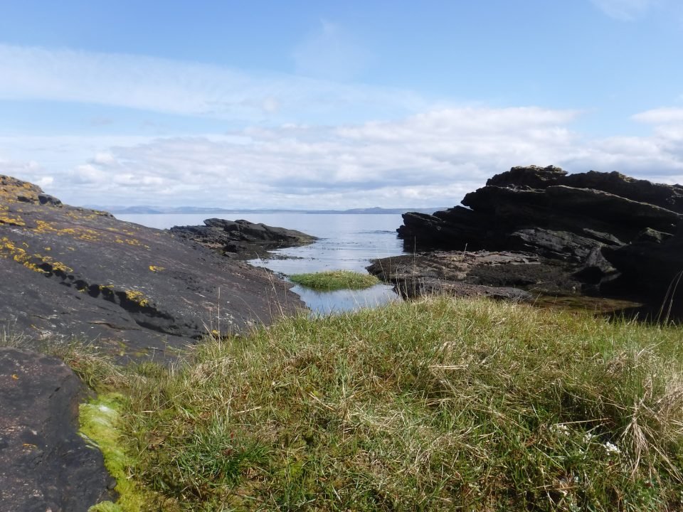 Beds of dark sandstone rock dipping to the right, with grass in the foreground and the sea in the background