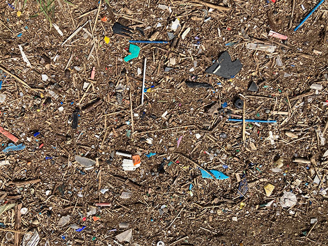 Plastic particles littering the surface of a saltmarsh along the river Thames estuary (UK). Photo by Chris Vane. BGS © UKRI.
