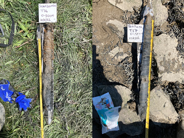 Examples of the sediment cores extracted from the saltmarshes, with the left showing surface sediments and extending down to 50 cm depth on the right. Upper is a core of Swanscombe Marsh, while lower is a core of Rainham Marsh. Both cores were taken from middle marsh vegetation zones. Photos by Chris Vane. BGS © UKRI.